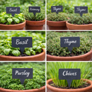 Slate Plant Labels with Chalk