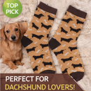 Dachshund Socks 3.5-8 UK