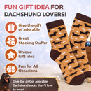 Dachshund Socks 3.5-8 UK