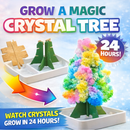Magic Growing Crystal Tree Kit