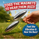 Rattle Magnets 2 Pack