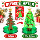 Magic Growing Christmas Tree Kit – Christmas Stocking Filler & Gift