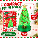 Magic Growing Christmas Tree Kit – Christmas Stocking Filler & Gift
