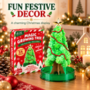 Magic Growing Christmas Tree Kit – Christmas Stocking Filler & Gift