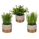 Set Of 3 Artificial Herbs In Cement Pots