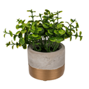 Set Of 3 Artificial Herbs In Cement Pots