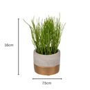 Set Of 3 Artificial Herbs In Cement Pots