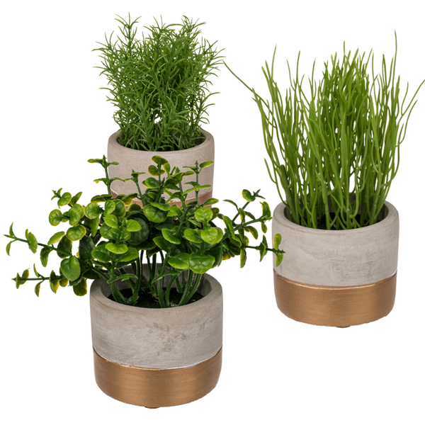 Set Of 3 Artificial Herbs In Cement Pots
