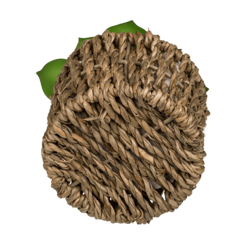 Set Of 2 Succulents In Sea Grass Pots