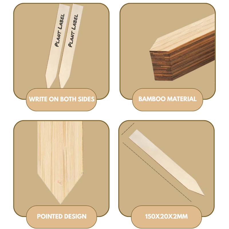 24 Wooden Plant Labels