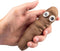 Stretchy Poop