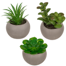 3 Artificial Succulents In Cement Pots