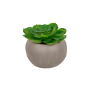 3 Artificial Succulents In Cement Pots