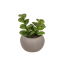 3 Artificial Succulents In Cement Pots