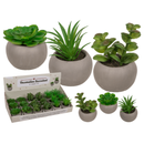 3 Artificial Succulents In Cement Pots
