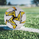 Leather Size 5 Footballs With Inflating Needles