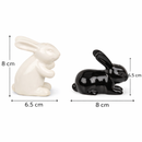 Rabbit Salt and Pepper Shakers Set