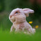 Animigos World Of Nature European Rabbit 24cm