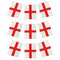 St George's England Bunting 10m