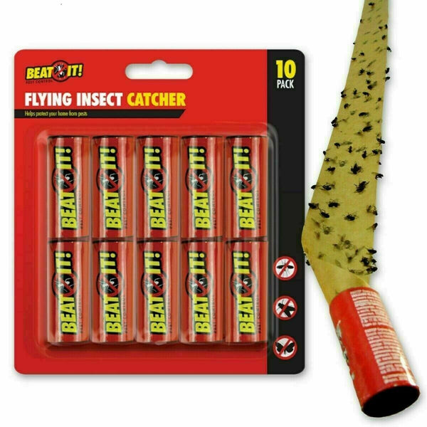10 Flying Insect Catchers