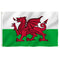 Wales Flag 5x3FT